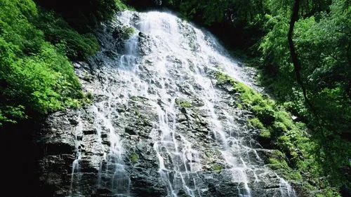 稳定性先进